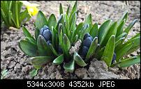 Kamera des Lumia 950 / 950 XL-wp_20160314_17_33_23_pro.jpg