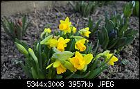 Kamera des Lumia 950 / 950 XL-wp_20160314_17_33_53_rich.jpg