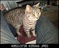 Kamera des Lumia 950 / 950 XL-wp_20160314_13_15_41_rich_635936309449174595.jpg