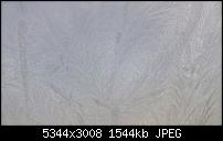 Kamera des Lumia 950 / 950 XL-wp_20160304_07_38_25_pro.jpg