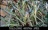 Kamera des Lumia 950 / 950 XL-wp_20160318_06_44_35_rich.jpg