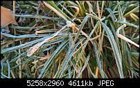 Kamera des Lumia 950 / 950 XL-wp_20160318_06_45_04_rich.jpg