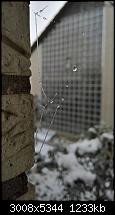Kamera des Lumia 950 / 950 XL-wp_20160121_09_35_10_pro.jpg