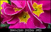 Kamera des Lumia 950 / 950 XL-wp_20160320_15_25_27_raw_635941021163016079.jpg