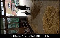 Kamera des Lumia 950 / 950 XL-wp_20160318_16_14_26_rich_li_635941081264845122.jpg