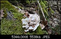 Kamera des Lumia 950 / 950 XL-wp_20160320_15_48_12_rich.jpg