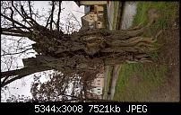 Kamera des Lumia 950 / 950 XL-wp_20160320_16_28_41_rich.jpg