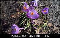 Kamera des Lumia 950 / 950 XL-wp_20160326_14_22_56_rich.jpg