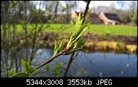 Kamera des Lumia 950 / 950 XL-wp_20160326_14_53_11_rich.jpg