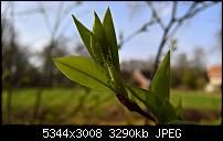 Kamera des Lumia 950 / 950 XL-wp_20160326_14_54_31_pro.jpg