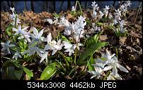 Kamera des Lumia 950 / 950 XL-wp_20160326_15_02_11_rich.jpg