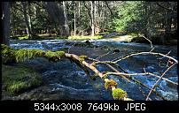 Kamera des Lumia 950 / 950 XL-wp_20160328_13_32_34_pro_li.jpg