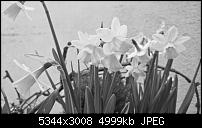 Kamera des Lumia 950 / 950 XL-2016_03_27_13_19_45_proshot.jpg