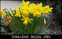 Kamera des Lumia 950 / 950 XL-wp_20160327_12_43_18_rich.jpg