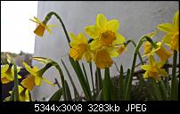 Kamera des Lumia 950 / 950 XL-wp_20160327_13_18_50_rich.jpg