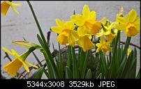 Kamera des Lumia 950 / 950 XL-wp_20160327_13_19_13_rich.jpg