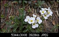 Kamera des Lumia 950 / 950 XL-wp_20160327_14_57_01_rich.jpg