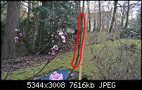 Kamera des Lumia 950 / 950 XL-wp_20160329_18_37_07_pro_li.jpg