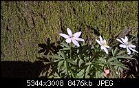 Kamera des Lumia 950 / 950 XL-wp_20160401_14_44_03_rich.jpg