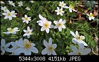 Kamera des Lumia 950 / 950 XL-wp_20160401_14_50_29_pro.jpg