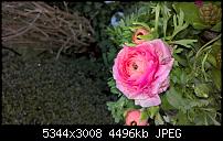 Kamera des Lumia 950 / 950 XL-wp_20160403_19_43_43_pro.jpg