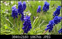 Kamera des Lumia 950 / 950 XL-wp_20160408_10_38_59_raw_635958408500337975.jpg