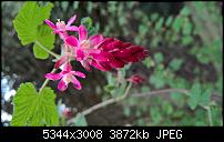 Kamera des Lumia 950 / 950 XL-wp_20160405_17_10_11_pro_li_635958778101089869.jpg