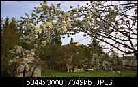 Kamera des Lumia 950 / 950 XL-wp_20160405_16_41_07_pro-1-.jpg