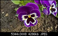 Kamera des Lumia 950 / 950 XL-wp_20160403_11_15_59_pro_635958840919238173.jpg