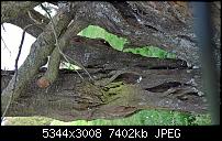 Kamera des Lumia 950 / 950 XL-wp_20160405_16_42_32_pro_635958890446001363.jpg