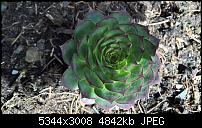 Kamera des Lumia 950 / 950 XL-wp_20160403_11_16_42_pro_635958890810029913.jpg