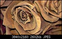 Kamera des Lumia 950 / 950 XL-wp_20160412_13_05_03_raw_li_635960634716718920.jpg