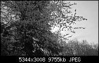 Kamera des Lumia 950 / 950 XL-2016_04_13_09_23_30_proshot.jpg