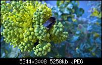 Kamera des Lumia 950 / 950 XL-wp_20160411_17_08_27_pro_li.jpg