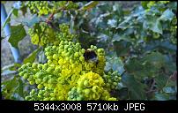 Kamera des Lumia 950 / 950 XL-wp_20160411_17_08_34_pro_li.jpg