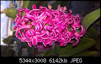 Kamera des Lumia 950 / 950 XL-wp_20160407_18_38_04_pro_li.jpg