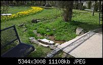 Kamera des Lumia 950 / 950 XL-wp_20160408_12_34_23_pro_li.jpg