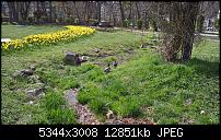 Kamera des Lumia 950 / 950 XL-wp_20160408_12_34_30_pro_li.jpg