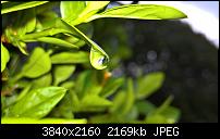 Kamera des Lumia 950 / 950 XL-wp_20160413_17_35_31_pro.jpg