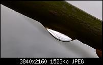 Kamera des Lumia 950 / 950 XL-wp_20160413_17_42_09_pro.jpg