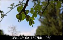 Kamera des Lumia 950 / 950 XL-wp_20160414_15_16_29_raw_635962451707074908.jpg