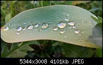 Kamera des Lumia 950 / 950 XL-wp_20160414_18_14_00_pro.jpg