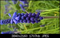 Kamera des Lumia 950 / 950 XL-wp_20160417_13_02_11_raw_635964954586234464.jpg