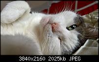 Kamera des Lumia 950 / 950 XL-wp_20160417_17_38_01_raw_635967056415202550.jpg