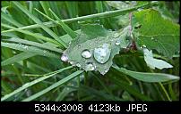 Kamera des Lumia 950 / 950 XL-wp_20160416_12_58_01_pro.jpg