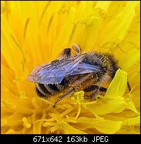Kamera des Lumia 950 / 950 XL-wp_20160419_13_26_23_pro-2-.jpg