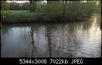 Kamera des Lumia 950 / 950 XL-wp_20160420_06_52_43_pro.jpg