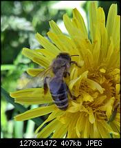 Kamera des Lumia 950 / 950 XL-wp_20160420_16_44_17_pro-2-.jpg