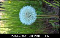 Kamera des Lumia 950 / 950 XL-wp_20160420_16_48_08_pro.jpg