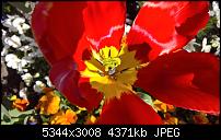 Kamera des Lumia 950 / 950 XL-wp_20160420_17_05_12_rich.jpg